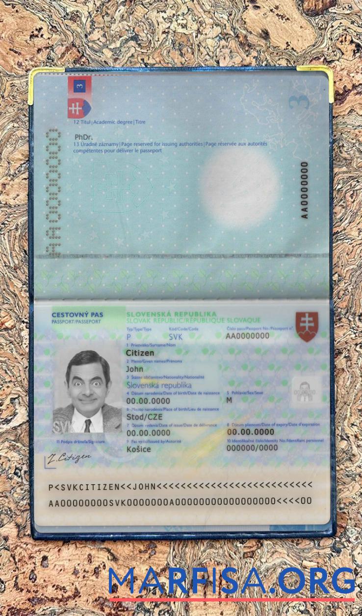 Printable Slovakia pass photo look example
